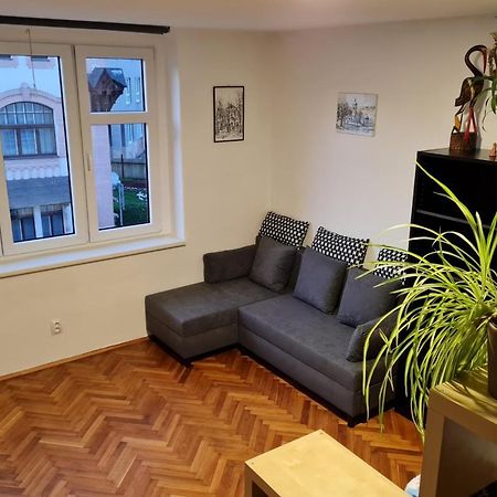 Kousek Do Prirody I Do Centra Apartment Písek Exterior foto