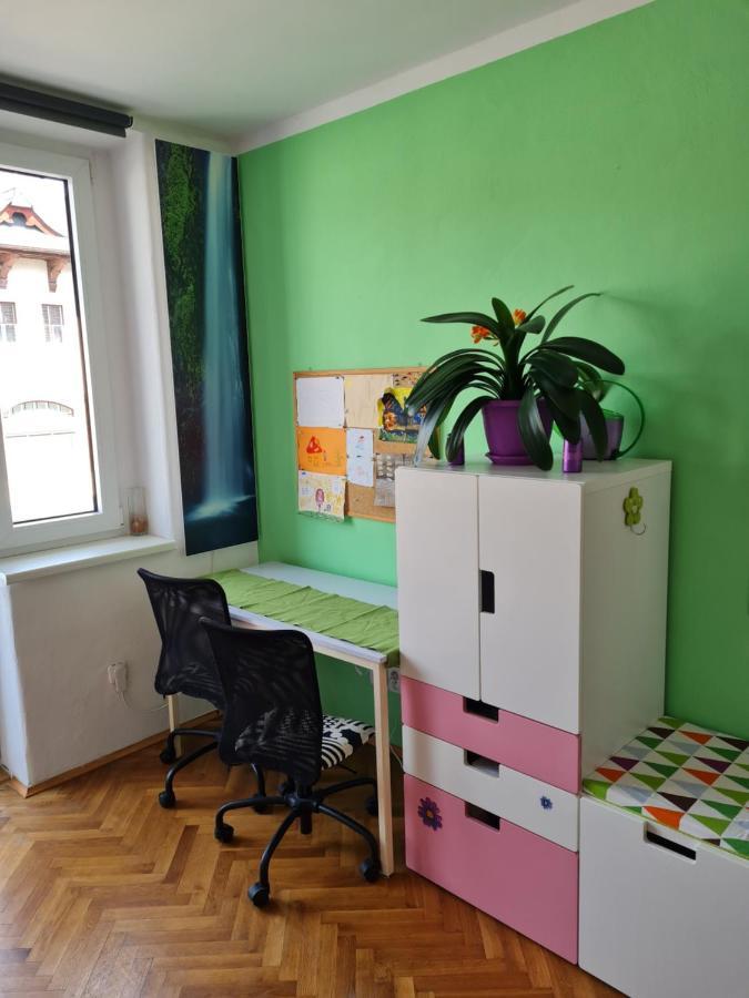 Kousek Do Prirody I Do Centra Apartment Písek Exterior foto
