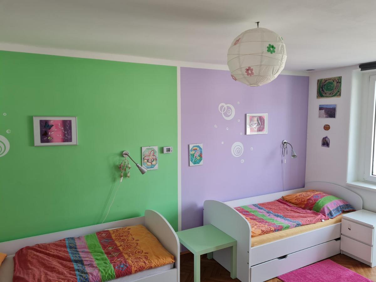 Kousek Do Prirody I Do Centra Apartment Písek Exterior foto