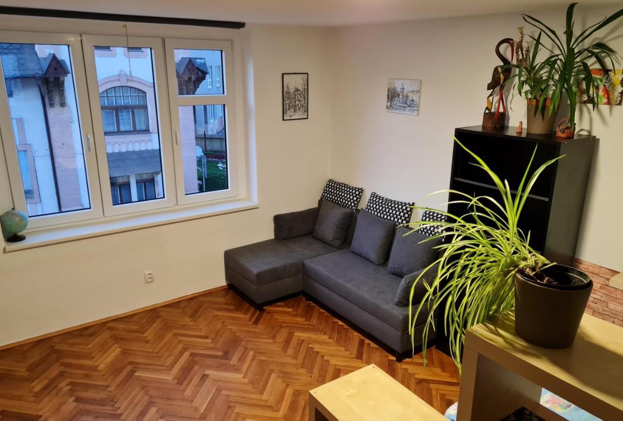 Kousek Do Prirody I Do Centra Apartment Písek Exterior foto