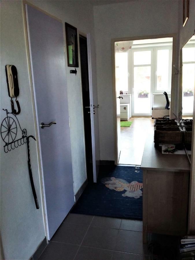 Kousek Do Prirody I Do Centra Apartment Písek Exterior foto