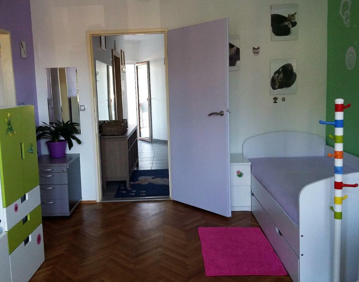 Kousek Do Prirody I Do Centra Apartment Písek Exterior foto